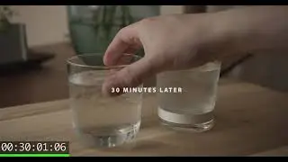 COAST GLASSWARE: Patented Glasses with Absorbent Natural Stone Base, Premium Gift Packaging.