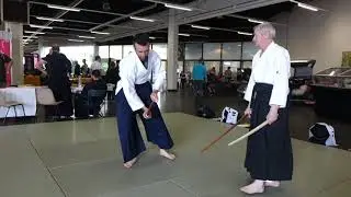Torii Ken Ken Wakisashi Alfonso  MAH02290