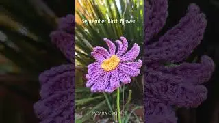 September's Birth Flower is live - Crochet Aster Flower Tutorial