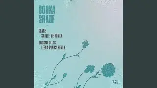 Broken Glass (Leena Punks Remix)
