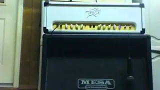 FJA Modded Peavey Windsor (SOLD)