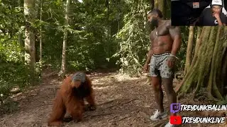 Tarzan Face-to-Face with WILD Apes & Snakes | Trey Dunk Reacts 