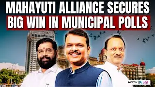 BJP Emerges As Largest Party In Maharashtra Local Polls | Mahayuti Sweeps 215 Out Of 288 Seats