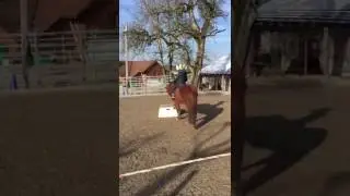 B&ouml;ckli
