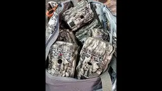 Moutrie M-8000 20 MP Game Camera Review *UNDER $100*