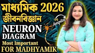 সহজে নিউরন আঁকা &ndash; Neuron Diagram Drawing Easy Method | Most Important for Upcoming Madhyamik 2026 🔥