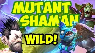 Evolve  Shaman Ft. Recombobulator | Hearthstone | Darkmoon Faire