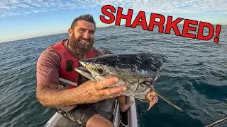 Sharked on the First Cast | Jet Ski Fishing the Sunshine Coast