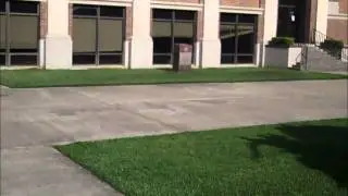 anti litter psa