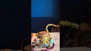 ПОЛИВАЙ КОТА РАЗ НА ТИЖДЕНЬ