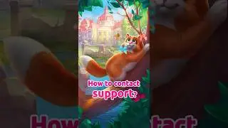 Tutorial | How to Contact Support