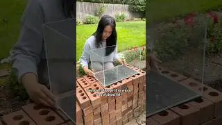 How I almost Trashed 5 Fish 🗑️