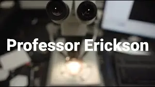 Professor Profile: Greg Erickson