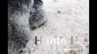 Hunted | episode 1