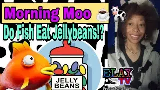 Do Fish Eat Jellybeans?! Morining Moo☕🐄 w ELAY TV 😎📺🛸✌🏽 February 2nd 2026