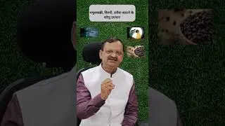 मधुमक्खी, बिरनी, ततैया काटने के घरेलू उपचार Kamri Rasoi |  #ytshorts #shorts #subhashgoyal