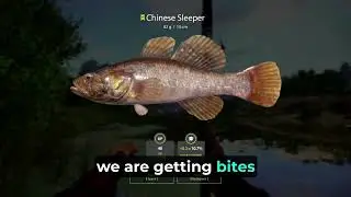 RF4 Newbie Speedrun: Ground bait in Russian Fishing 4!