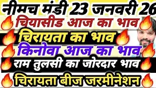 नीमच मंडी भाव। चिया भाव। नया किनोवा का भाव। चिरायता का भाव। Neemuch Mandi bhav today chirayata