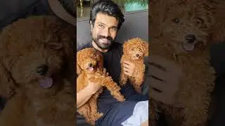 ramcharan konidela with his baby dogs