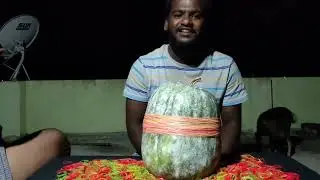 will pumpkin burst (unbelievable result )🙄