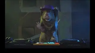 ECORATTICVIDEO
