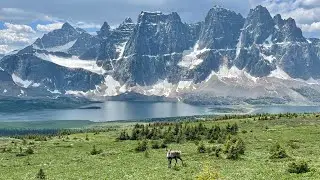 Caribou!! The Fabled Tonquin Valley - Day 2