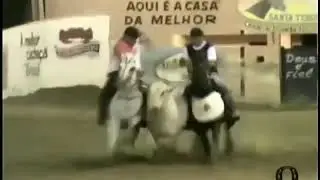 Elecktra Dun, e Nilo neto