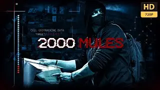 [FULL MOVIE] 2000 Mules (2022) | Election Fraud Movie By Dinesh D'Souza HD