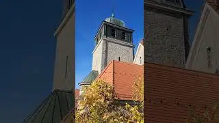 Die glocken der katholischen kirche maria himmelfahrt in zwingenberg  um 12 