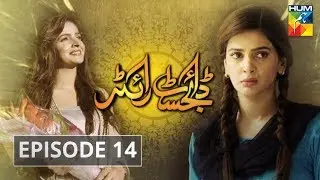 Digest Writer Episode #14 HUM TV Drama