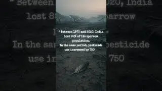 The chaos doesn't resolve | It persists | The Chaos Theory #nature #storytelling #shorts #birds