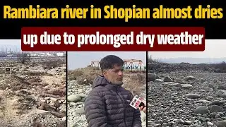 Rambiara river in Shopian almost dries up due to prolonged dry weather