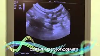 Ветеринарная помощь в клинике Леопольд