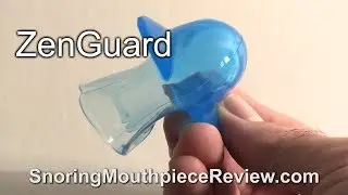 ZenGuard Review: Actual Results & Important Details