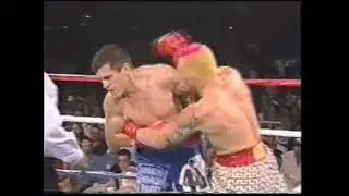 Jorge Paez vs Victor Hugo Paz boxing highlights