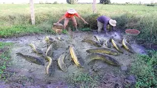 Amazing Dry Season Fishing 2020 - Two Handsome Men Finding & Catching Many Fishes From Muddy Soil