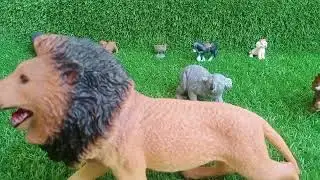 Safari animals toy playset || Toy safari squad || Ep:2 