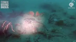 Technical Diving India - Rajan's playground Exploration
