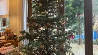 Ubieram choinkę 🌲 