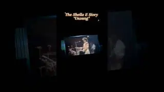 The Sheila E Story &ndash; Unsung (TV One Documentary)