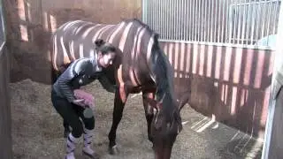 Alice & Fab - Thursday blog | Video Diary | Horse & Hound
