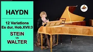 COMPARE!!! Stein & Walter pianos by Paul McNulty/Haydn 12 Variations Es dur Hob.XVII:3 V.Sofronitsky