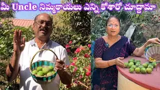 మీ అంకుల్ ఎన్ని నిమ్మకాయలు కోశారో చూద్దామా