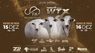 LOTE 41   WTX 61