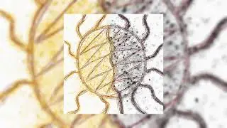 Half of the Sun - Ignael #trapguitar #traprock #guitarsong #guitarmusic #guitaroriginal