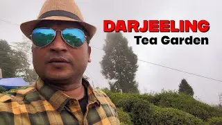 Darjeeling Tea Garden Tour 2025 in Hindi