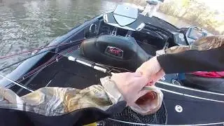 13th place in FLW BFL tournament at Sam Rayburn as a coangler!!! 3/3/2018