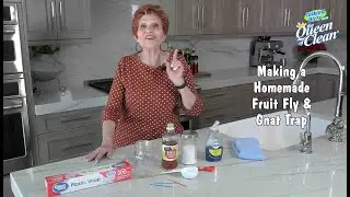 Homemade FRUIT FLY and GNAT Trap