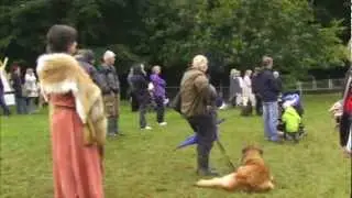 Vikingetr&aelig;f ved Moesgaard 2012