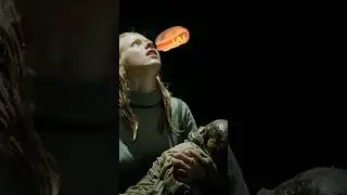 How many hotdogs do you need to survive 24 years in a well?
